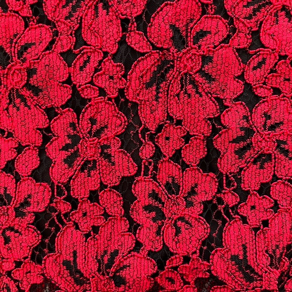 Alexia Admor Red Lace Fitted Dress - Picture 8 of 14